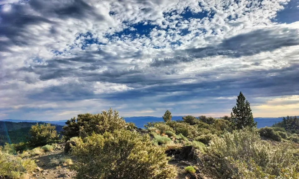 Jones-Whites Creek Loop + Church Pond, United States
