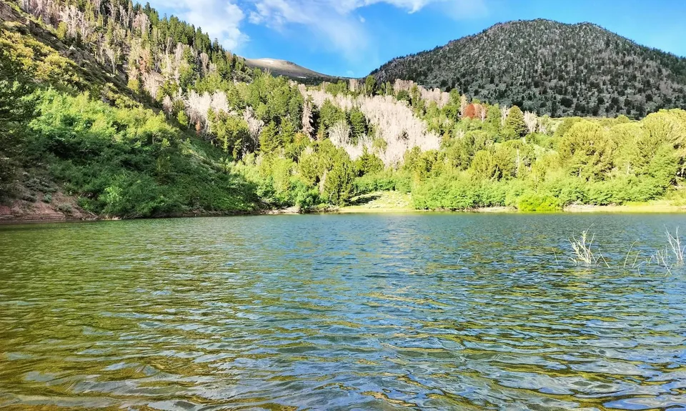 Jones-Whites Creek Loop + Church Pond, United States