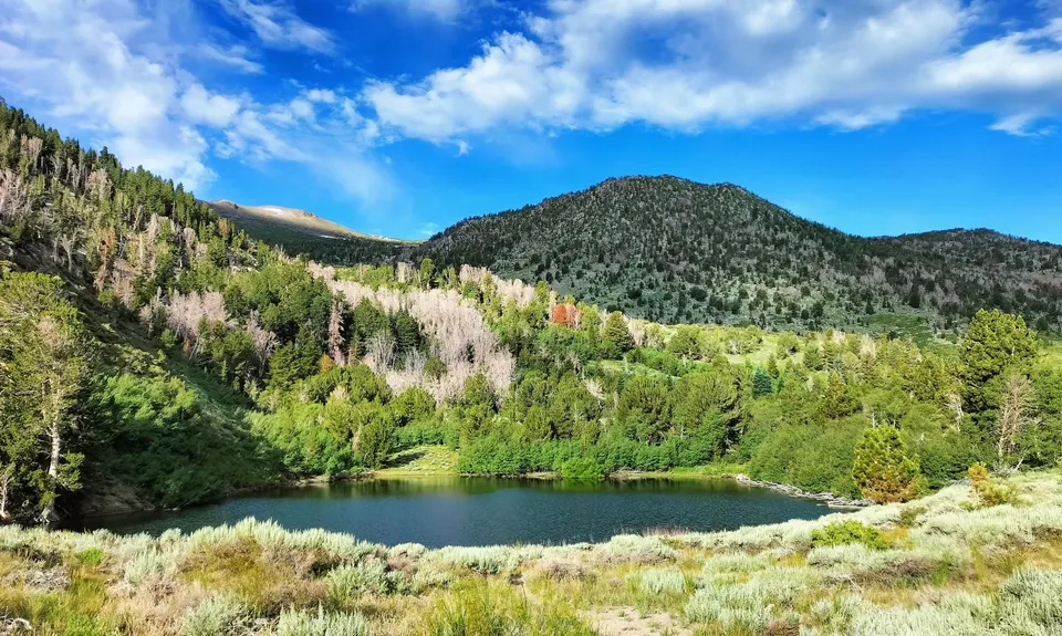 Jones-Whites Creek Loop + Church Pond, United States