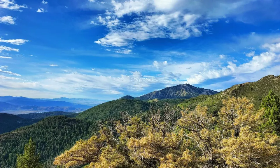 Jones-Whites Creek Loop + Church Pond, United States