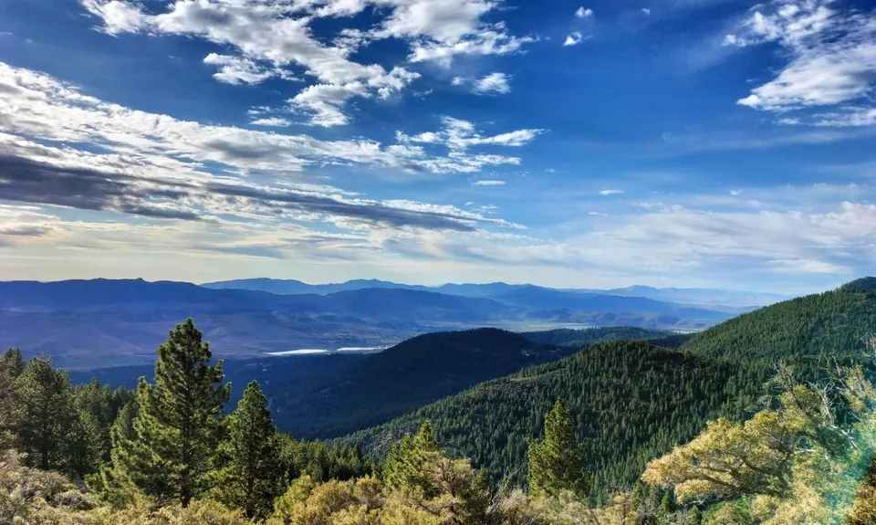 Jones-Whites Creek Loop + Church Pond, United States