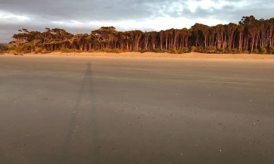 Pretty Papatowai, Otago