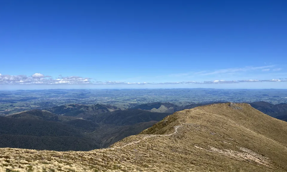 Jumbo - Holdsworth Circuit, Wellington