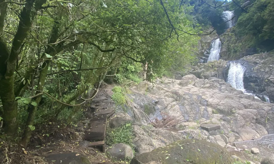 Jungle dash, Bay of Plenty