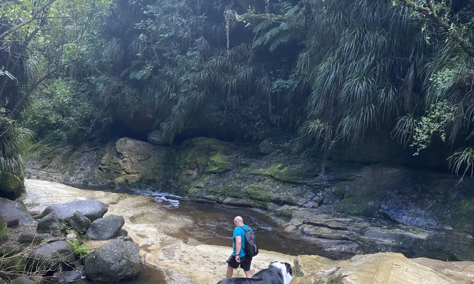 Jungle dash, Bay of Plenty