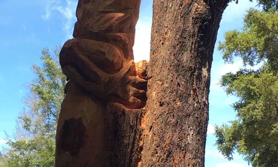 Kahikatea Trail, Tasman
