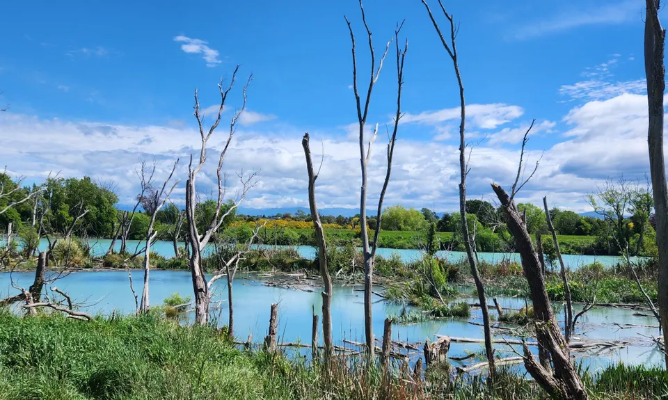 Kaiapoi Island Trail, Canterbury