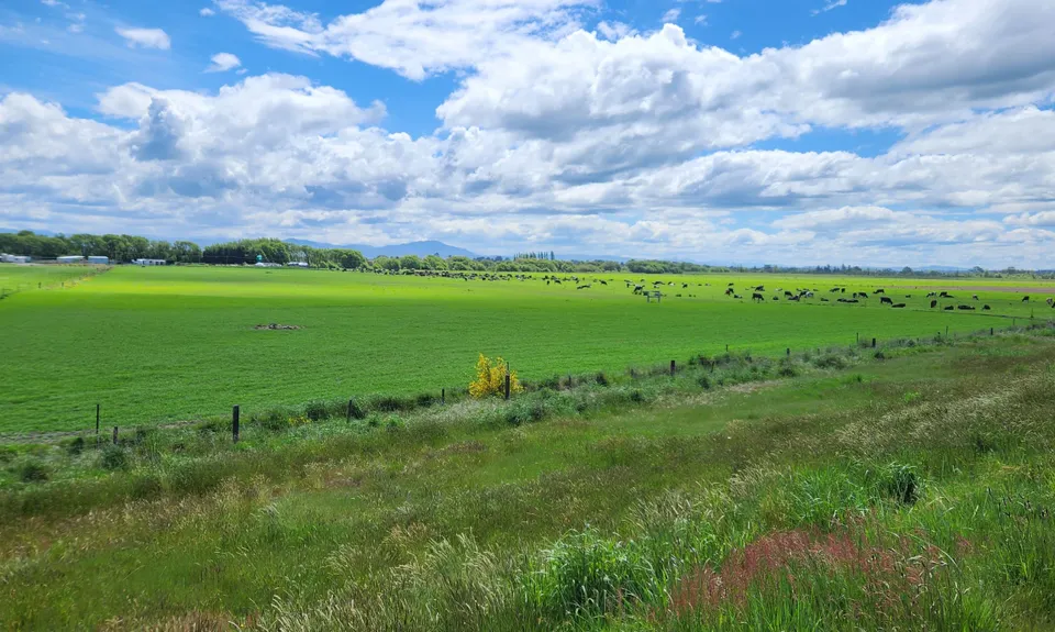 Kaiapoi Island Trail, Canterbury