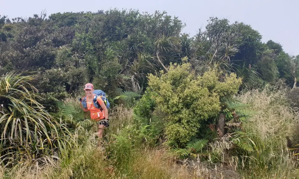Kaimai Ranges North-South Track, Bay of Plenty