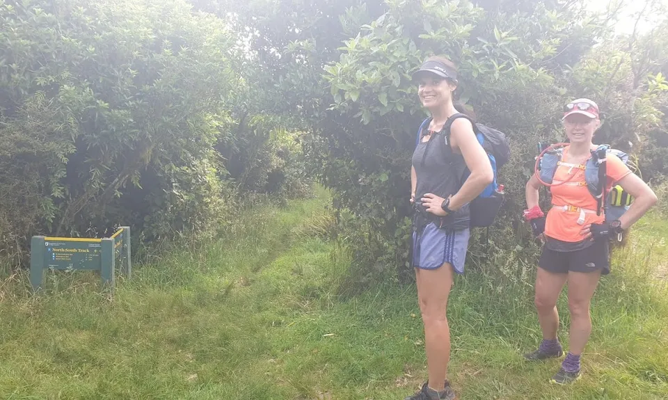 Kaimai Ranges North-South Track, Bay of Plenty