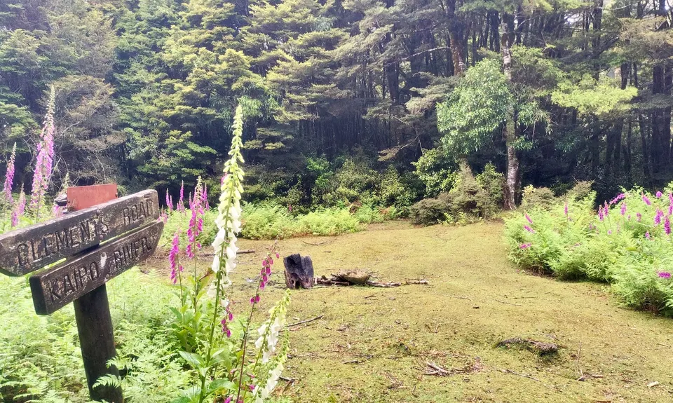 Kaimanawa Killer, Waikato