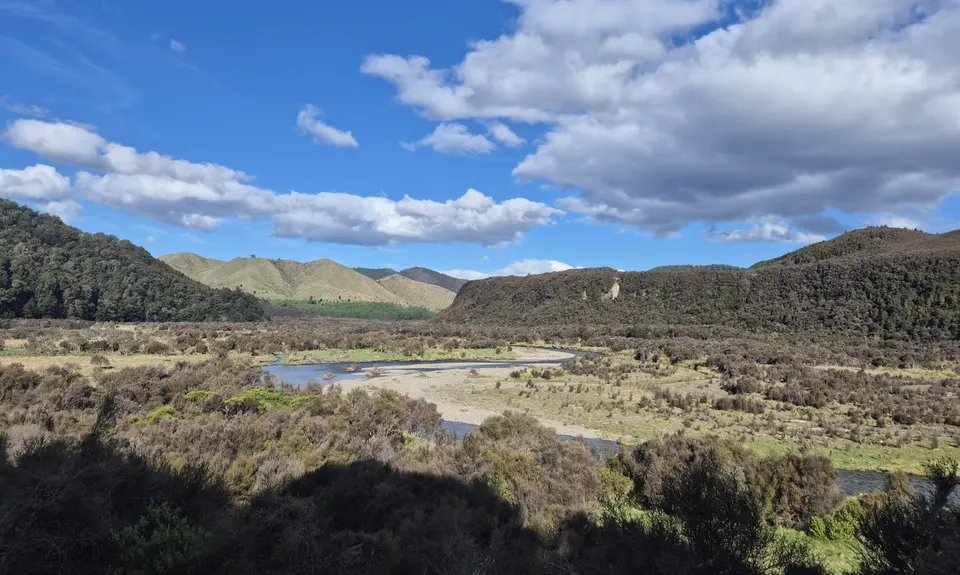 Kaimanawa Killer v2, Waikato