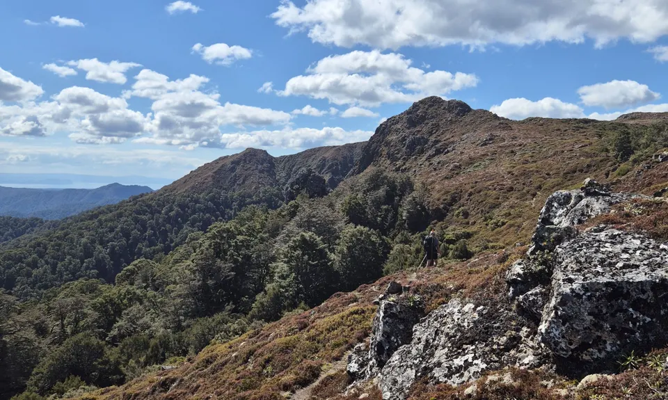 Kaimanawa Killer v2, Waikato