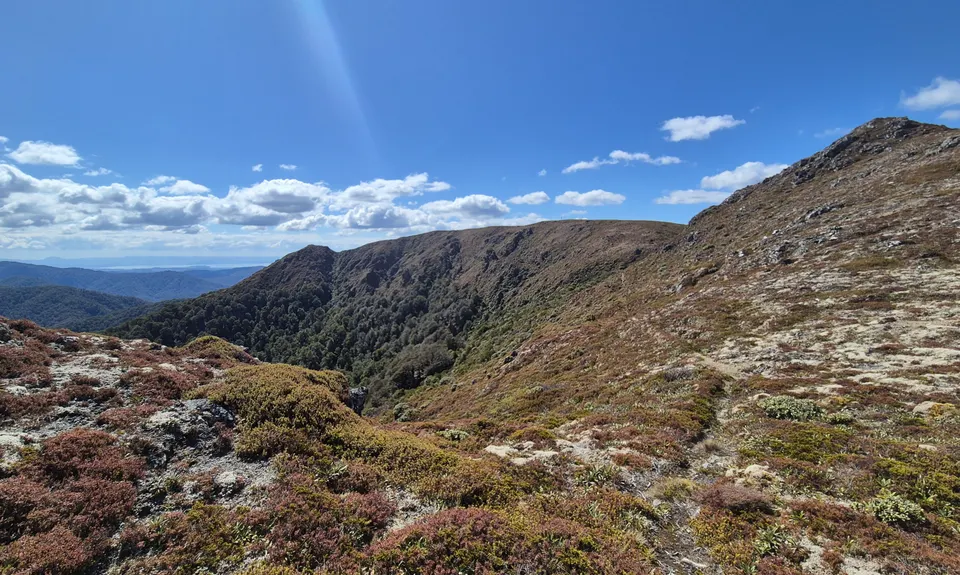 Kaimanawa Killer v2, Waikato