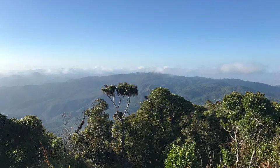 Kaitarakihi Summit, Waikato