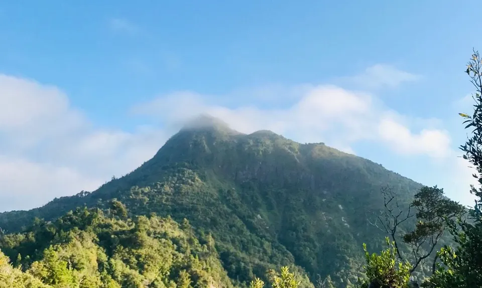 Kaitarakihi Summit, Waikato