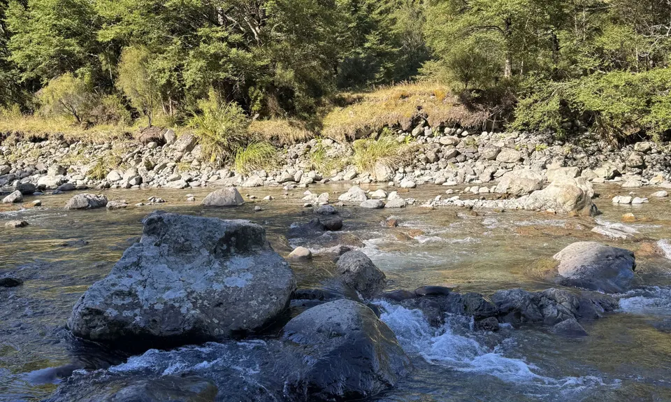 Kaitoke Omega Loop, Wellington
