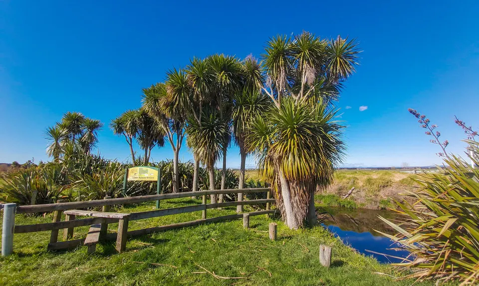 Kaituna Wetlands, Bay of Plenty