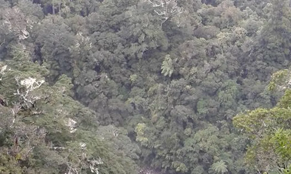 Kaituna to Holdsworth Lodge, Wellington