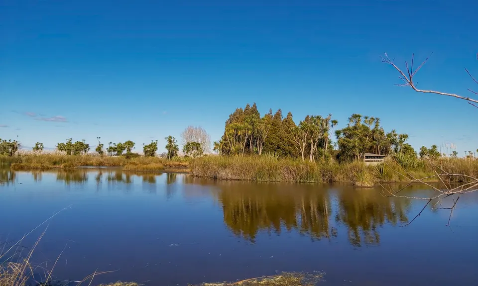 Kaituna Wetlands, Bay of Plenty