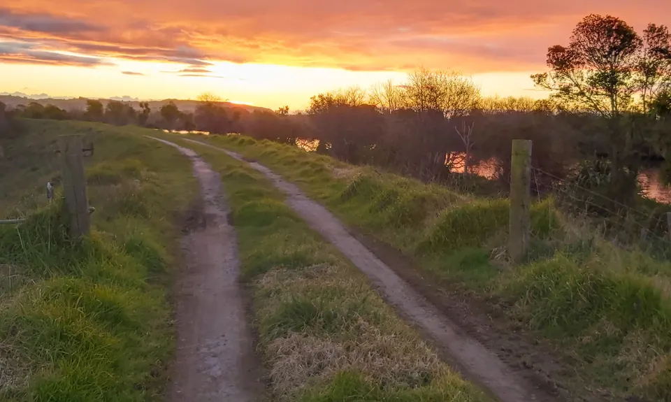Kaituna Wetlands, Bay of Plenty