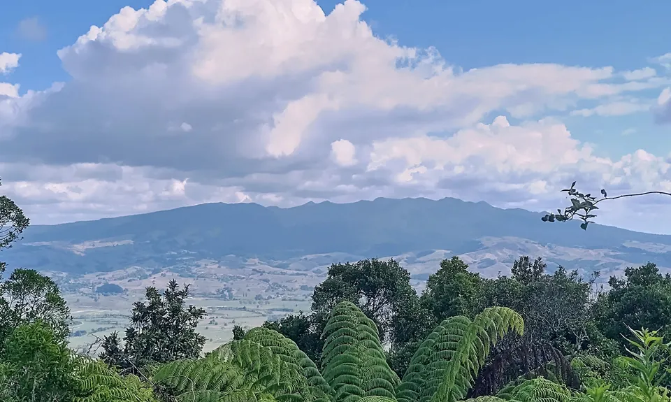 Kakepuku Climb, Waikato