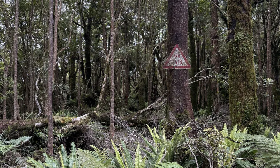 Kapakapanui