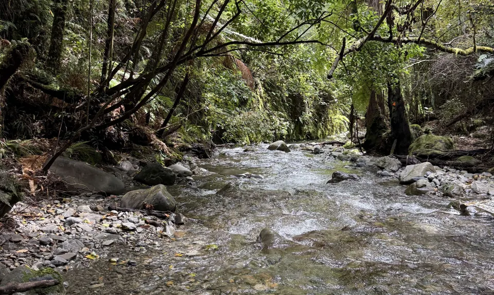Kapakapanui