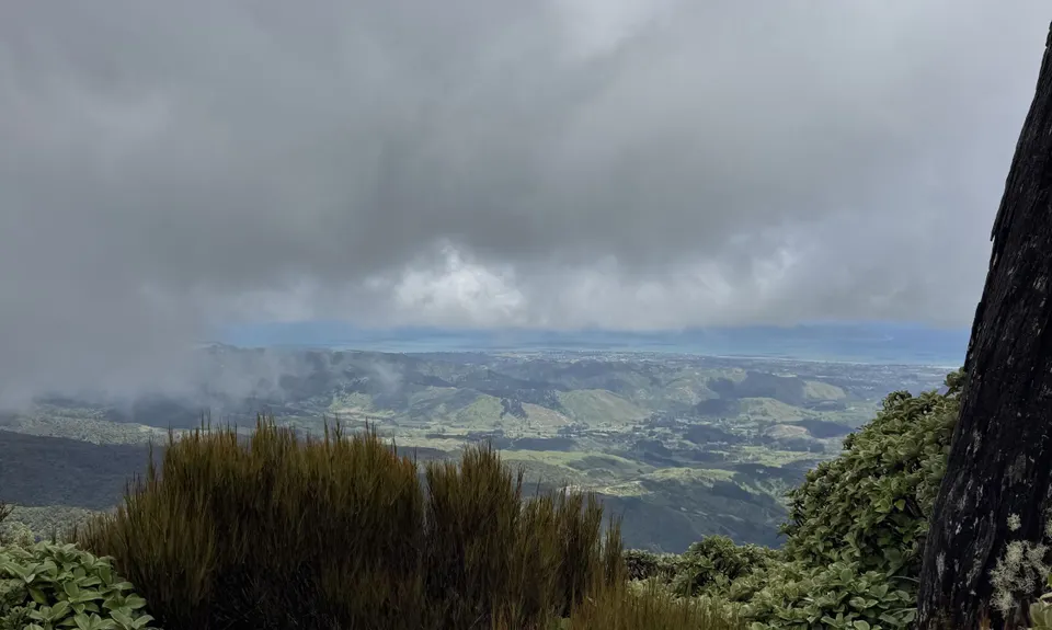 Kapakapanui