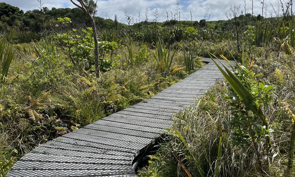 Kapiti Island Loop, Wellington