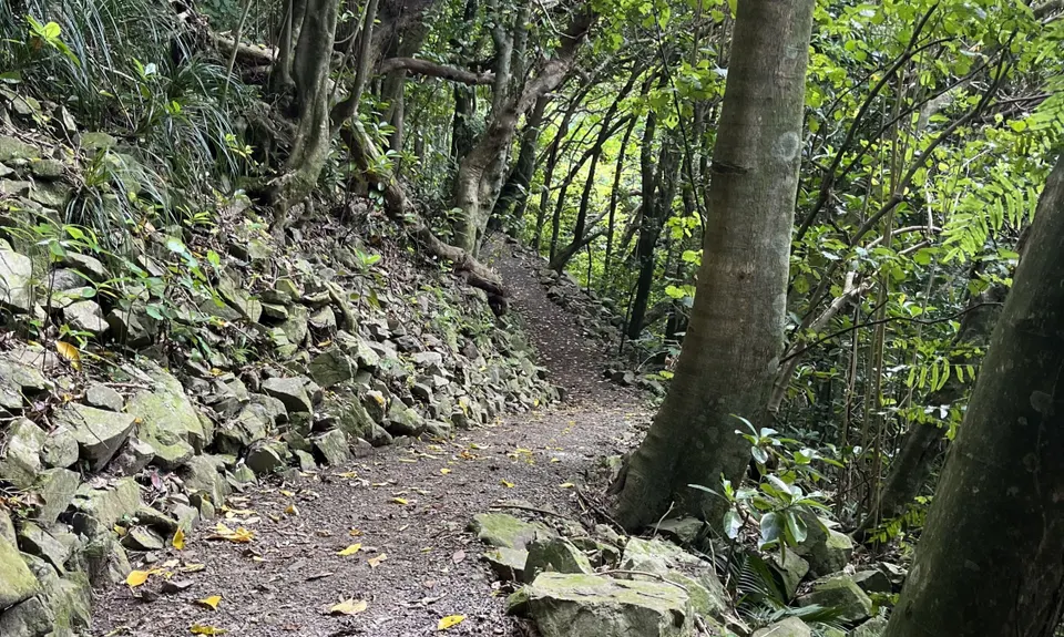 Kapiti Island Loop, Wellington