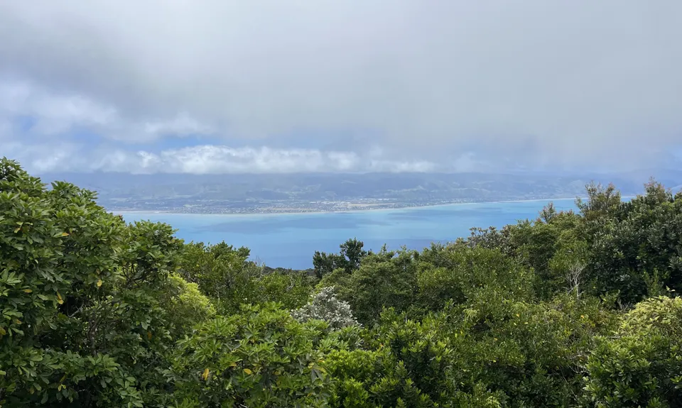 Kapiti Island Loop, Wellington