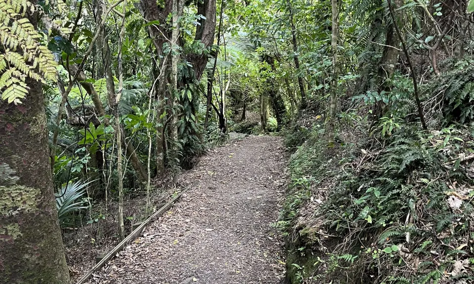 Kapiti Island Loop, Wellington