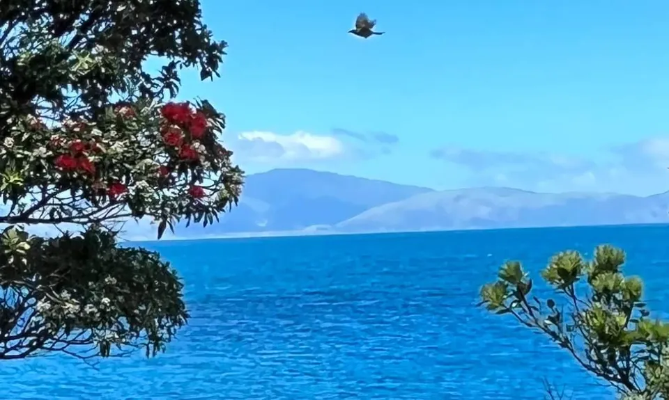 Kapiti Island Loop, Wellington