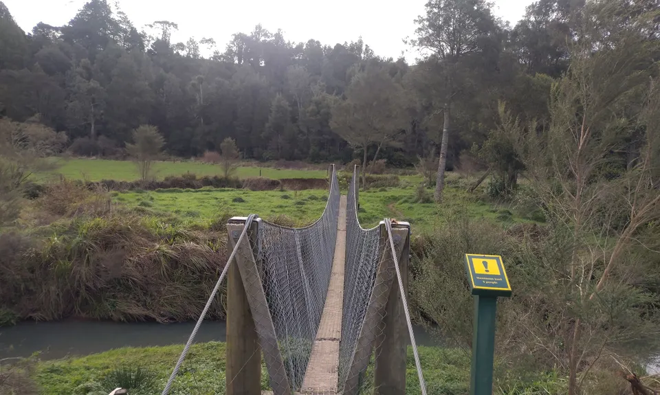 Karakariki Track, Waikato