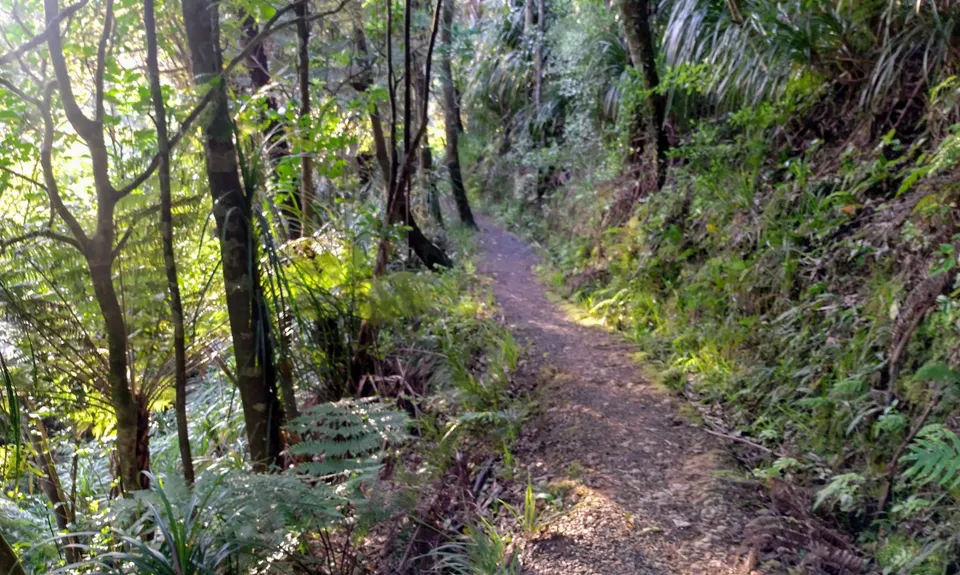 Karamu Walkway North, Waikato