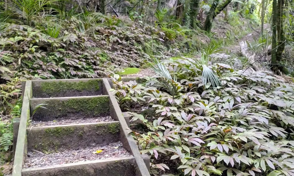 Karamu Walkway North, Waikato