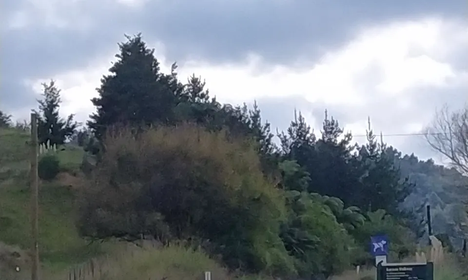 Karamu Walkway South, Waikato