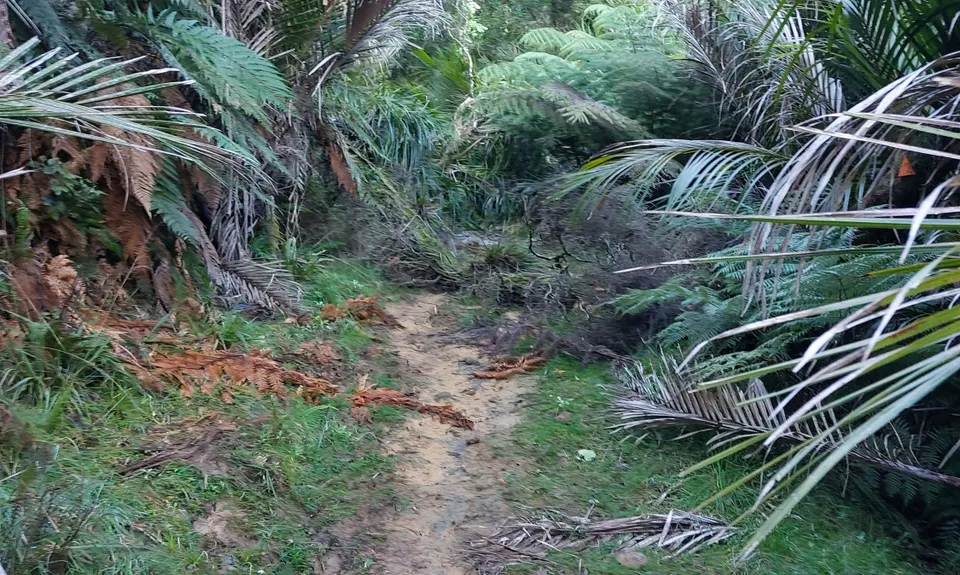 Karamu Walkway South, Waikato