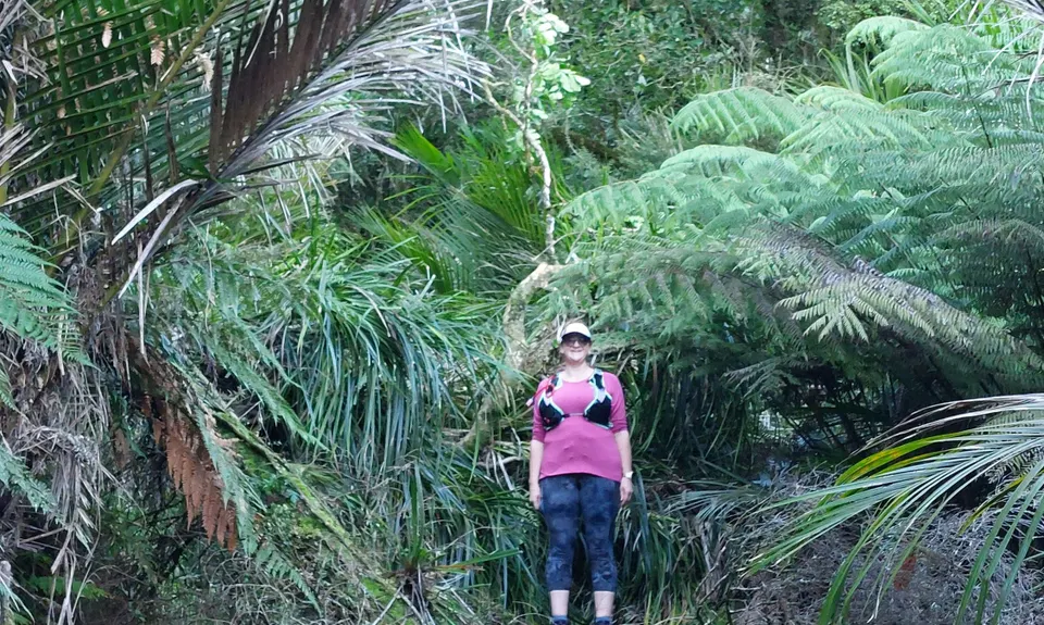 Karamu Walkway South, Waikato