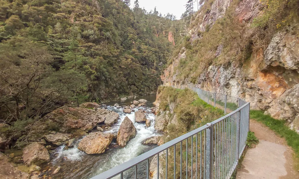 Karangahake Gold, Waikato