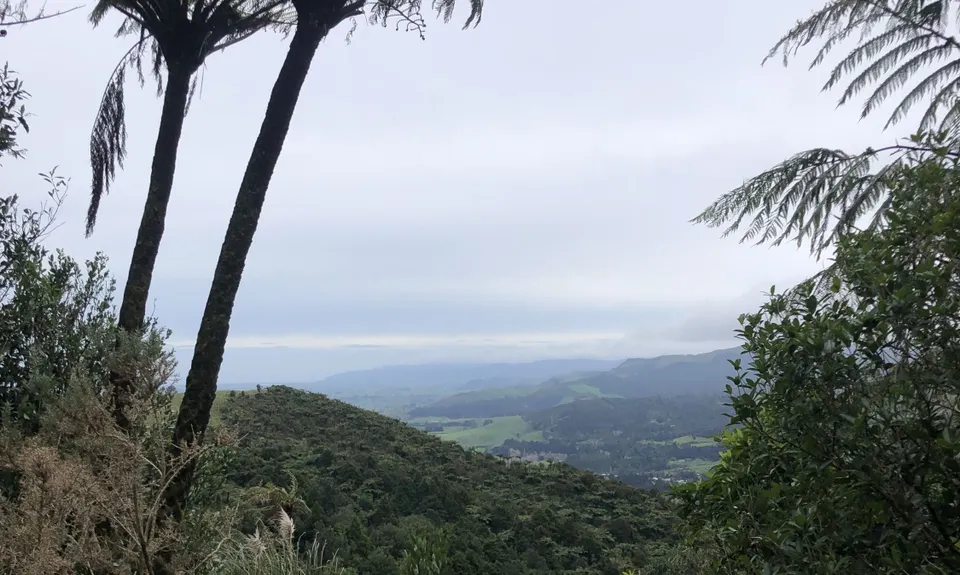 Karangahake Mountain Run, Bay of Plenty