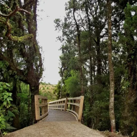 Ōkari to Kawatiri on the Coastal Trail, West Coast