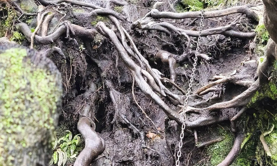 Karioi Traverse, Waikato
