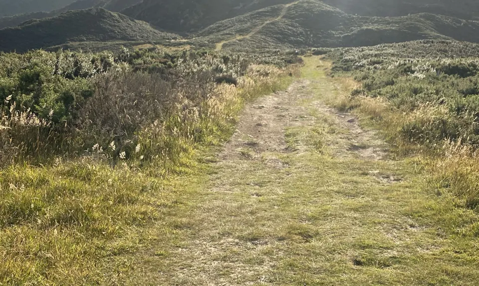 Kaukau Bells Loop, Wellington