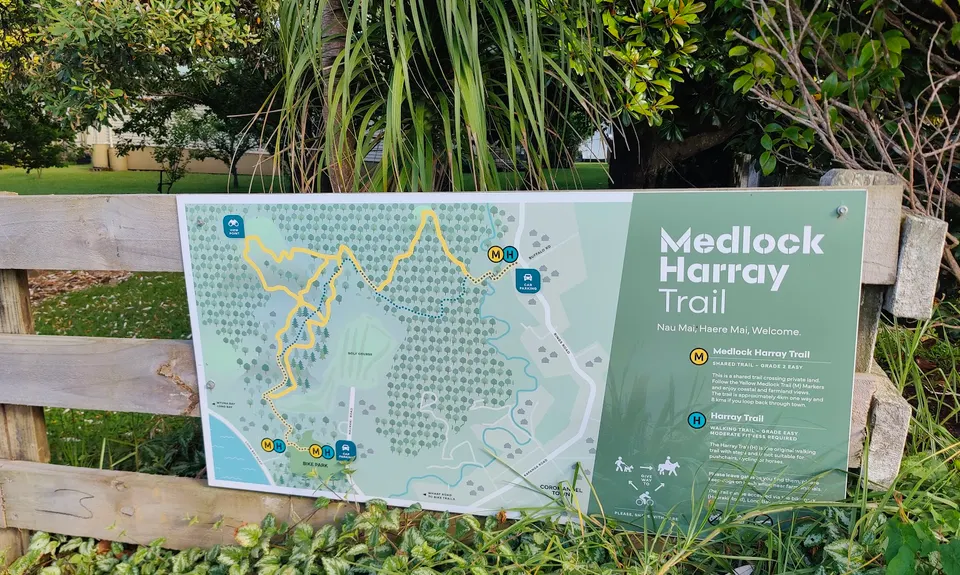 Kauri Block and Harray Trails, Waikato