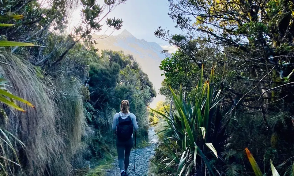 Key Summit Nature Trail Loop, Southland