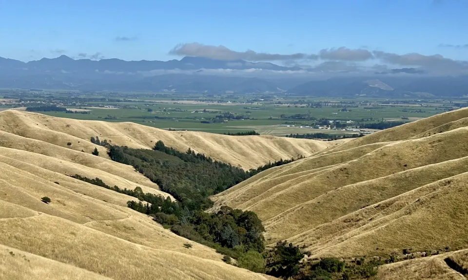 King and Queen of the Withers, Marlborough