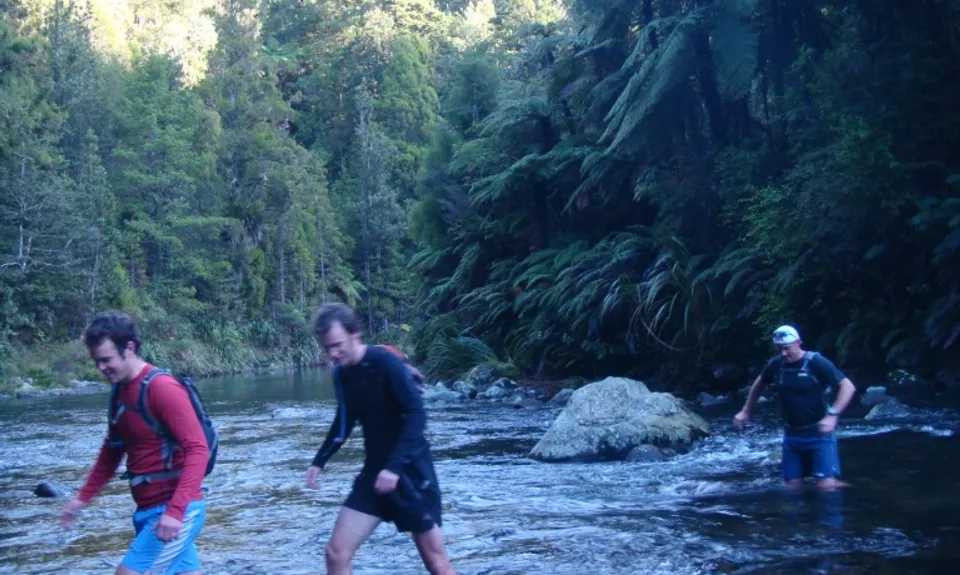 Kaimai Killer, Waikato