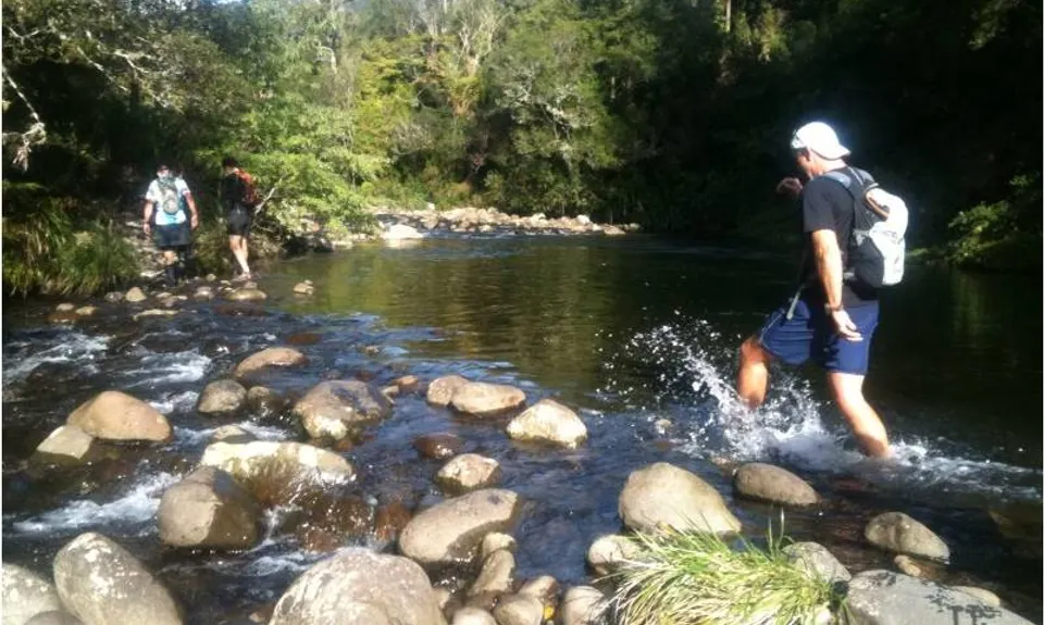 Kaimai Killer, Waikato